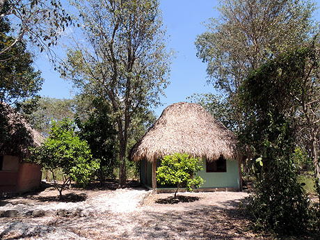 Reservar cabaña individual, Cabañas Calakmul