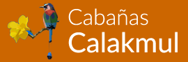 Calakmul Cabins, Conhuas, Campeche, Mexico