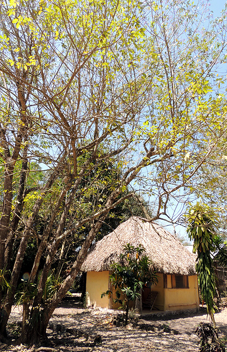 Cabañas Calakmul, Conhuas, Campeche