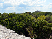 Calakmul jungle view, Calakmul Cabins, Calakmul Biosphere Reserve, Conhuas, Campeche