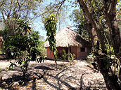 Reservaciones cabañas, Cabañas Calakmul, Reserva Biósfera Calakmul, Conhuas, Campeche