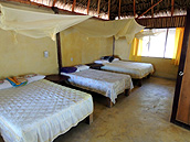 Triple cabin, Calakmul Cabins, Calakmul Biosphere Reserve, Conhuas, Campeche