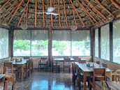 Mayan Ruin in Calakmul, Calakmul Cabins, Calakmul Biosphere Reserve, Conhuas, Campeche