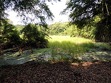 Cabañas Calakmul, Reserva Biósfera Calakmul, Conhuas, Campeche