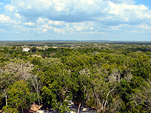 Calakmul Cabins, Calakmul Biosphere Reserve, Conhuas, Campeche