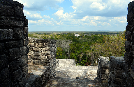 Calakmul Biosphere Reserve, Campeche, Mexico